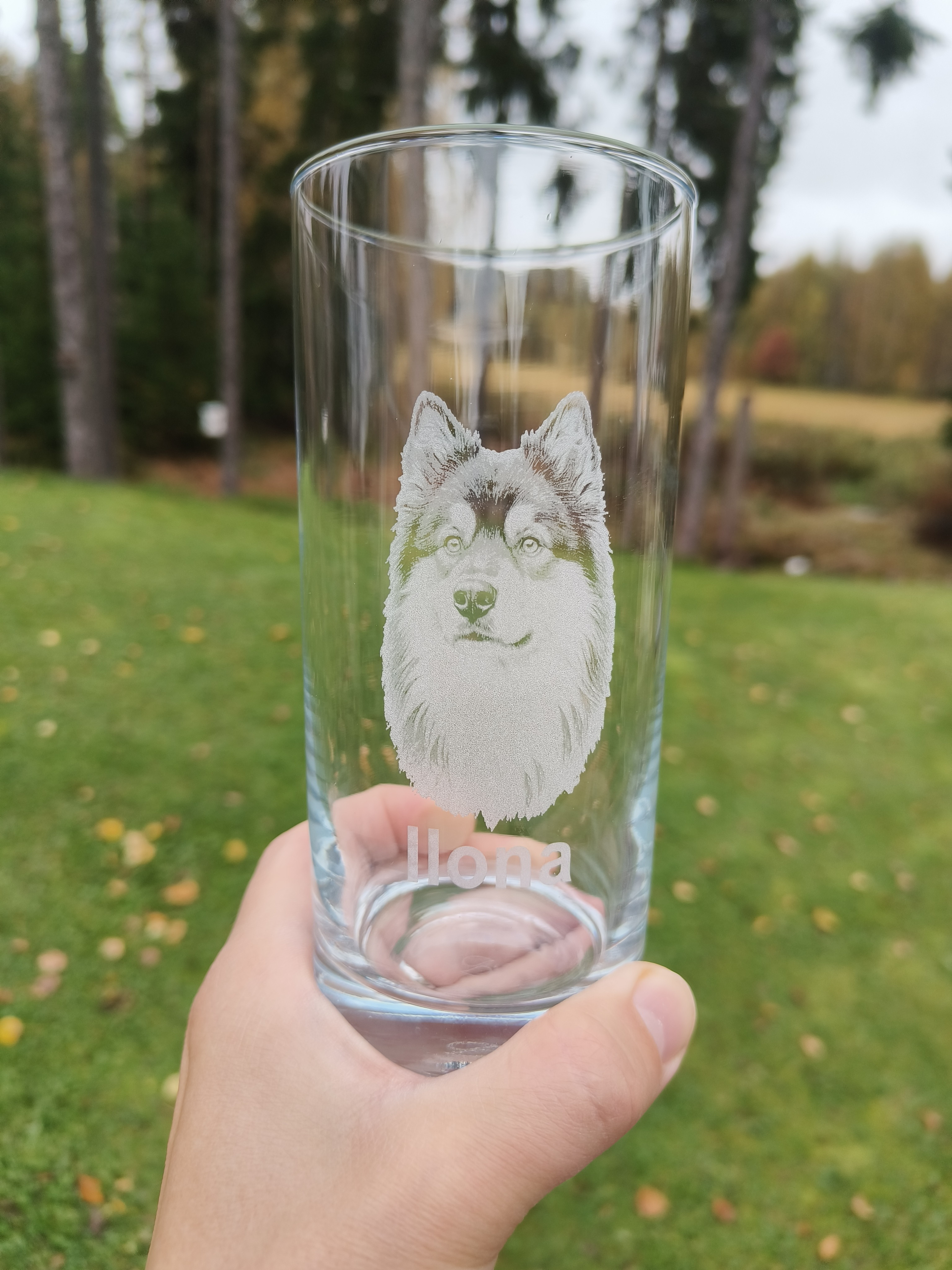 Laser-engraved drinking glass with your own dog's photo and name Ilona
